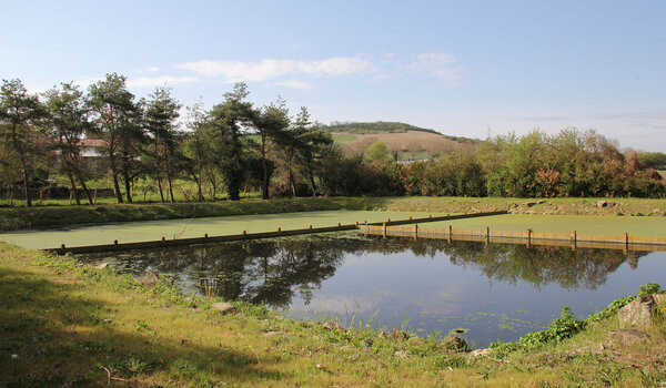 Lagune de Parret